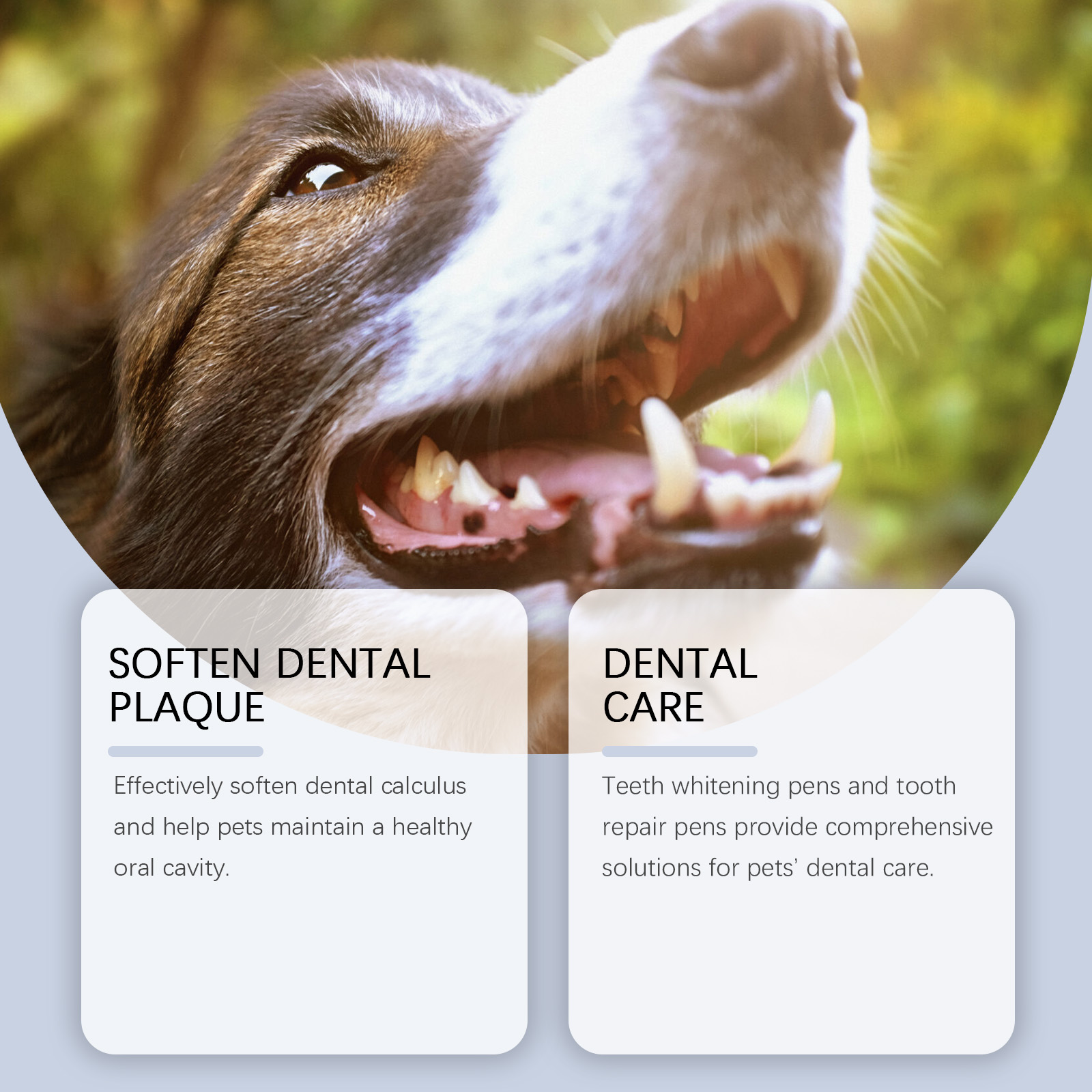 Pet Teeth Whitening Pen Set fo - đánh giá và giá Teeth Whitening Pens