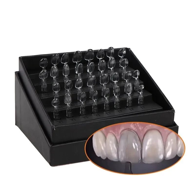 32pcs Dental Veneer Mould Kit  - đánh giá và giá Teeth Whitening Moulds